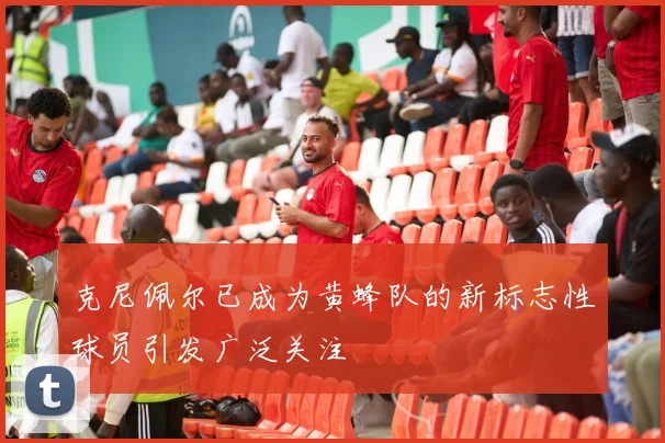 克尼佩尔已成为黄蜂队的新标志性球员引发广泛关注