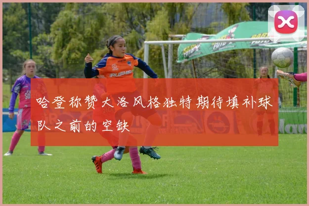 哈登称赞大洛风格独特期待填补球队之前的空缺