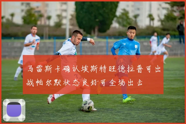 马雷斯卡确认埃斯特旺德拉普可出战帕尔默状态良好可全场出击