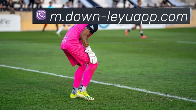 乐鱼体育平台生态图