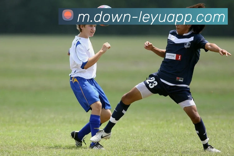 乐鱼体育APP 封面图